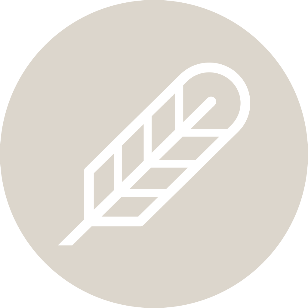 Poe logo Poe logo