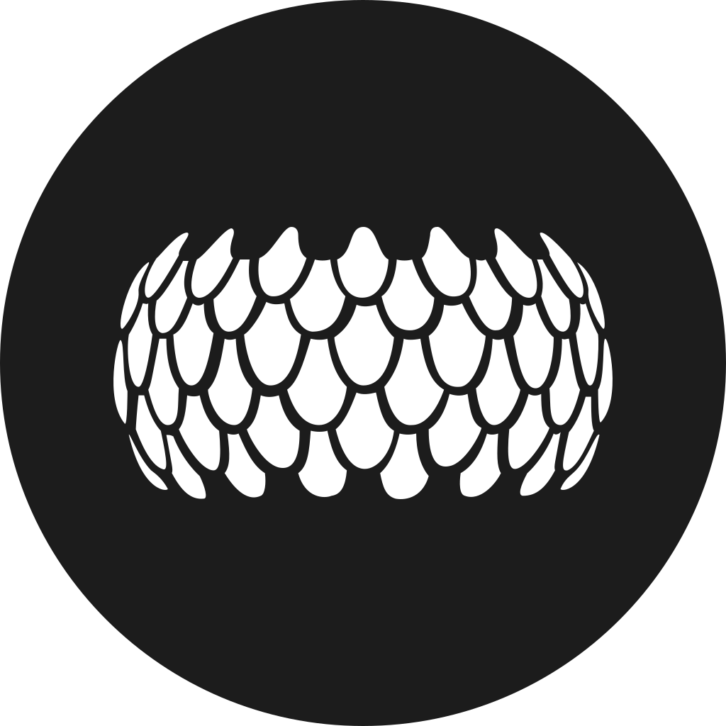 Srn logo Srn logo