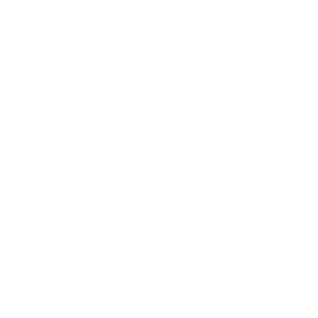 Bnt logo Bnt logo