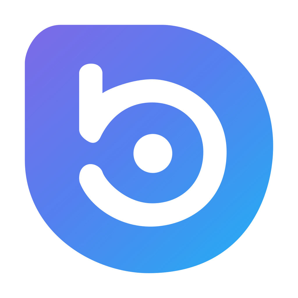 Bora logo Bora logo