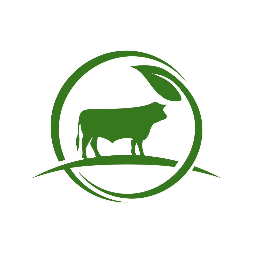 Dmtr logo Dmtr logo