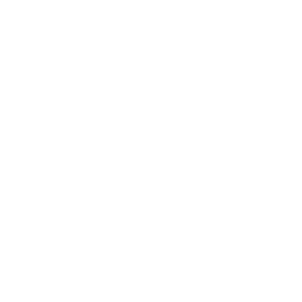 Noia logo Noia logo