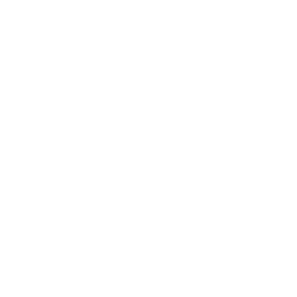 Seilor logo Seilor logo