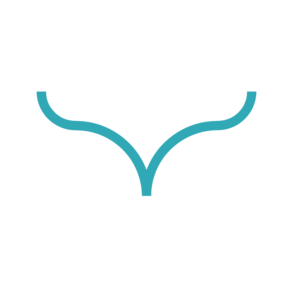 Wise logo Wise logo