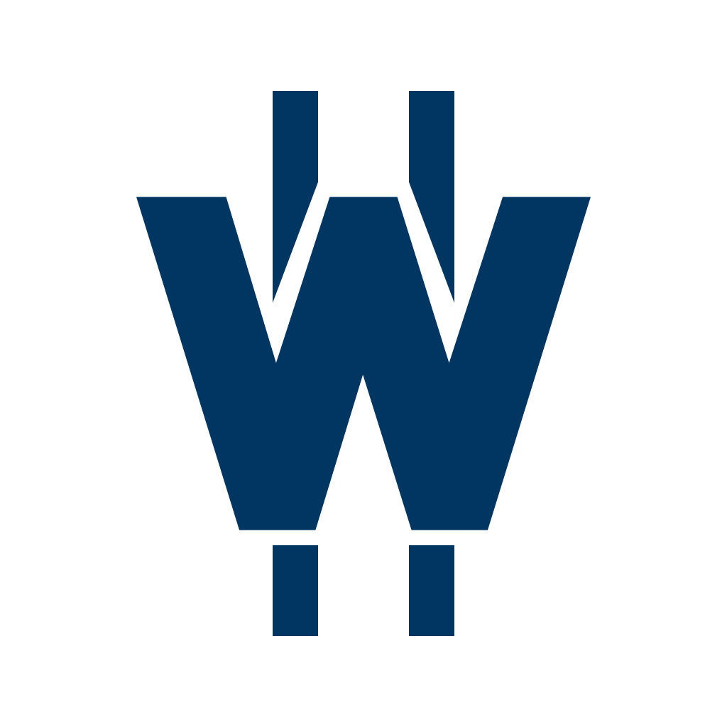 Wsi logo Wsi logo